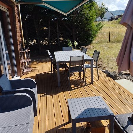 Chalet Les Adrets Du Sancy Saint-Diery 外观 照片