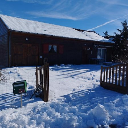 Chalet Les Adrets Du Sancy Saint-Diery 外观 照片