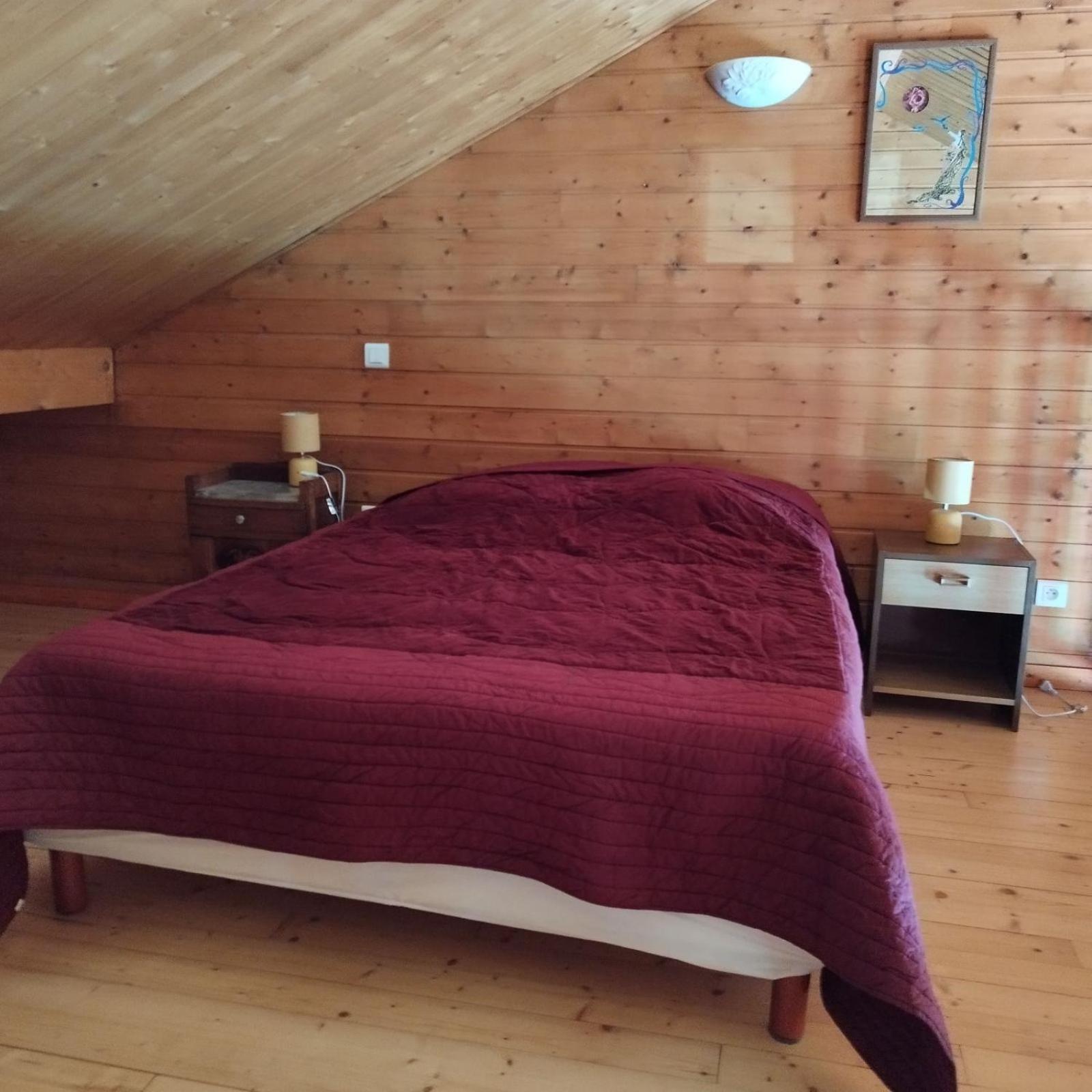 Chalet Les Adrets Du Sancy Saint-Diery 外观 照片