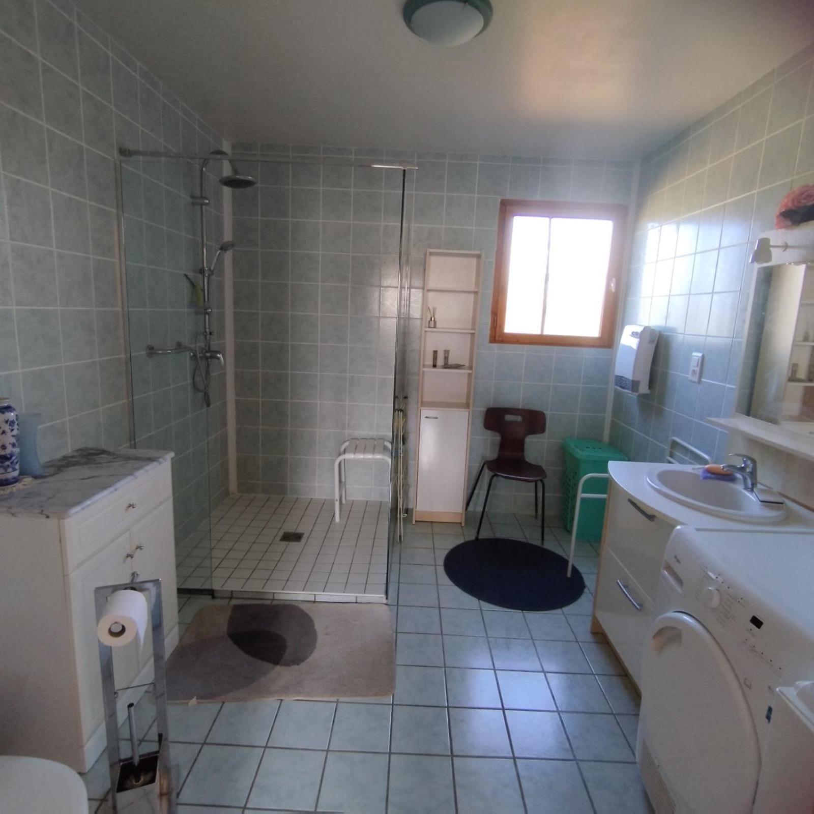 Chalet Les Adrets Du Sancy Saint-Diery 外观 照片