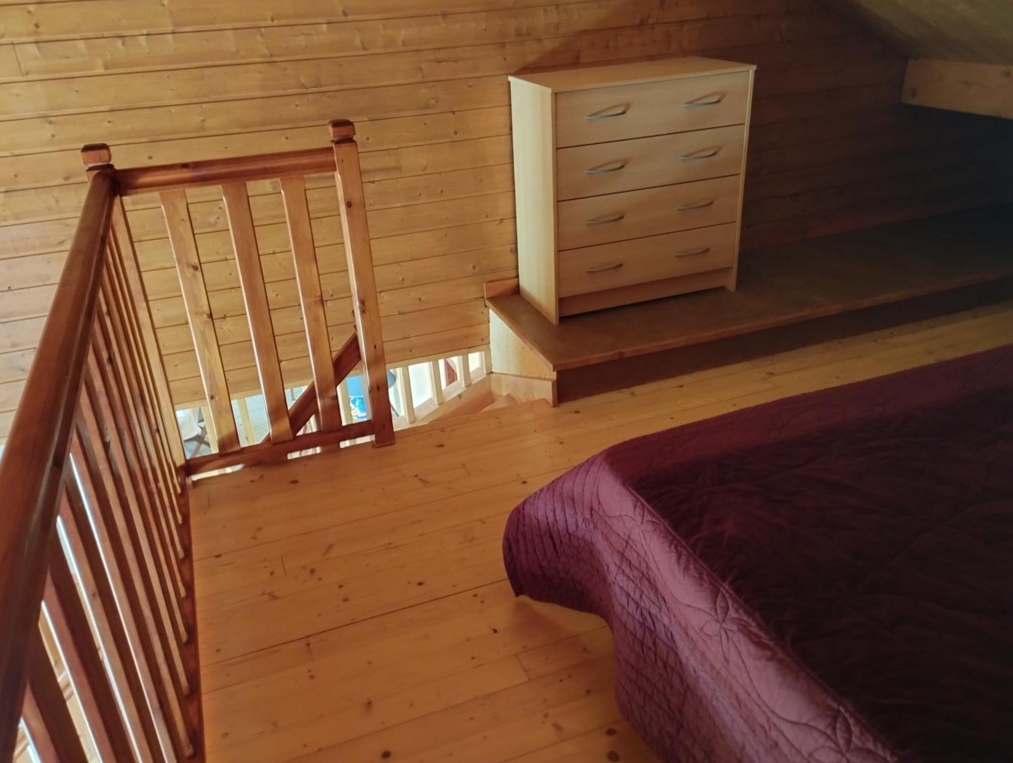 Chalet Les Adrets Du Sancy Saint-Diery 外观 照片