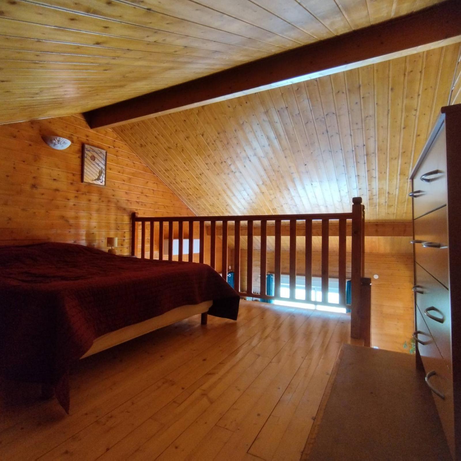 Chalet Les Adrets Du Sancy Saint-Diery 外观 照片