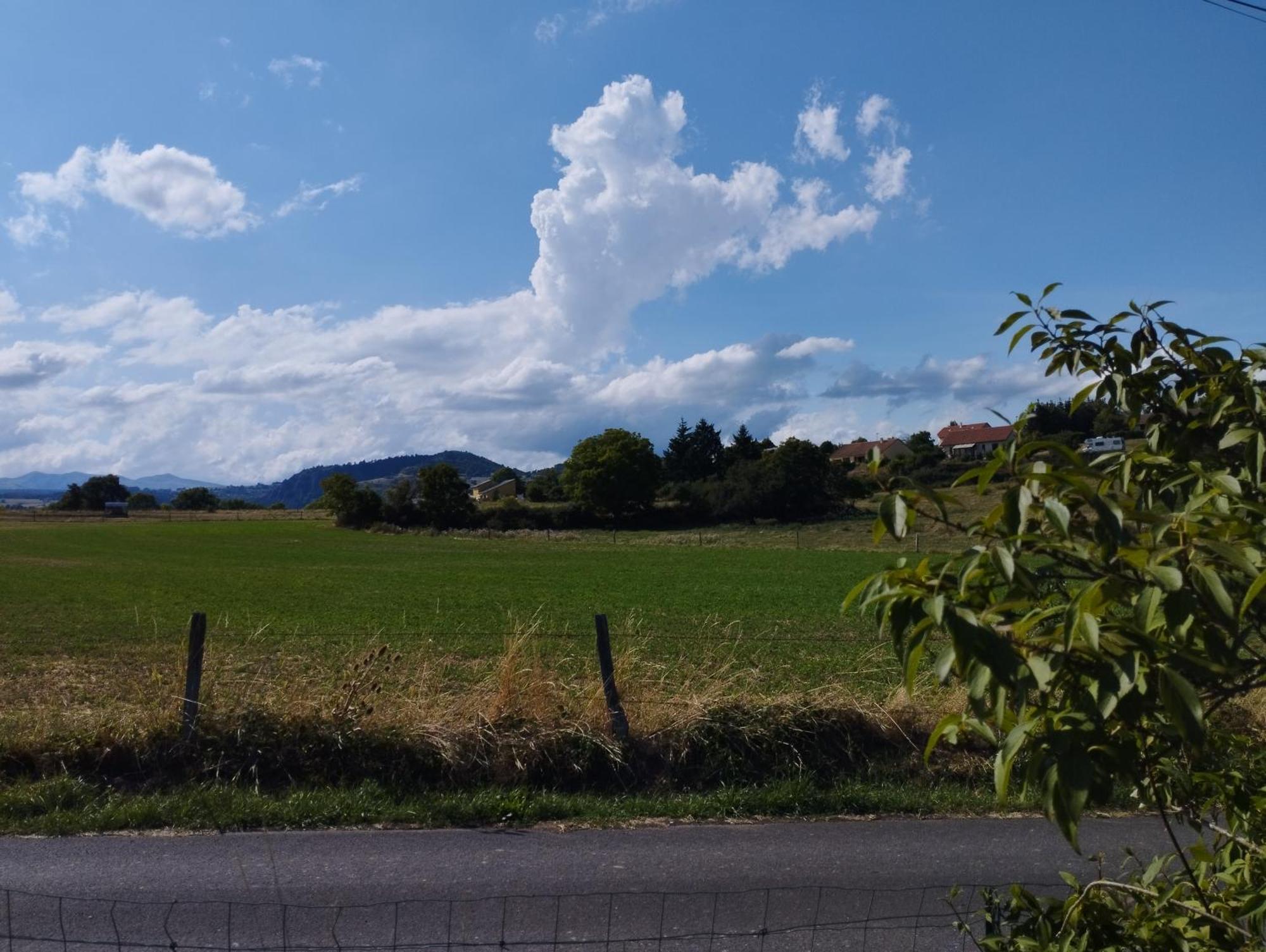 Chalet Les Adrets Du Sancy Saint-Diery 外观 照片