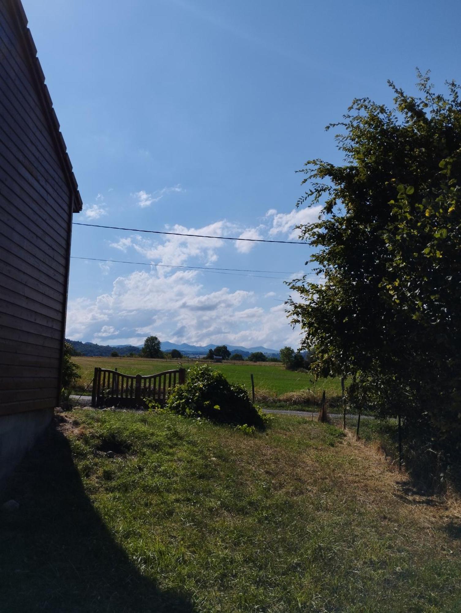 Chalet Les Adrets Du Sancy Saint-Diery 外观 照片